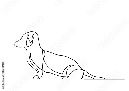 continuous line drawing of dachshund dog