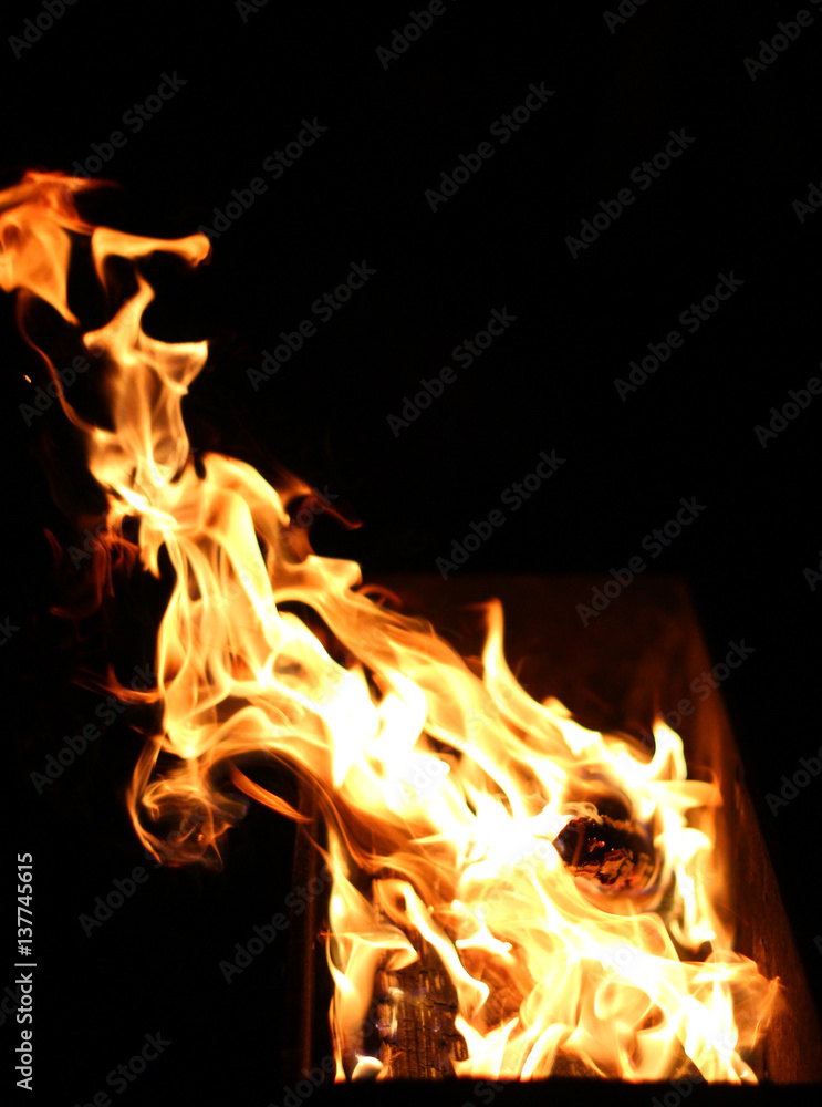 Fototapeta premium Flames of fire
