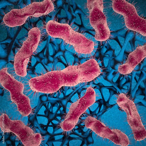 Fotografie Micro-organisms, unicellular bacteria. 3d image.