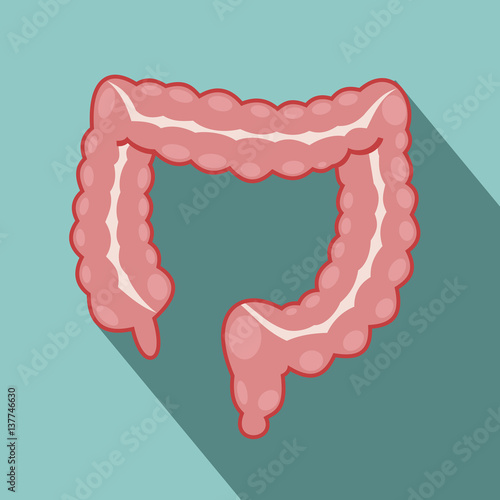large intestine. long shadow, vector illustrations
