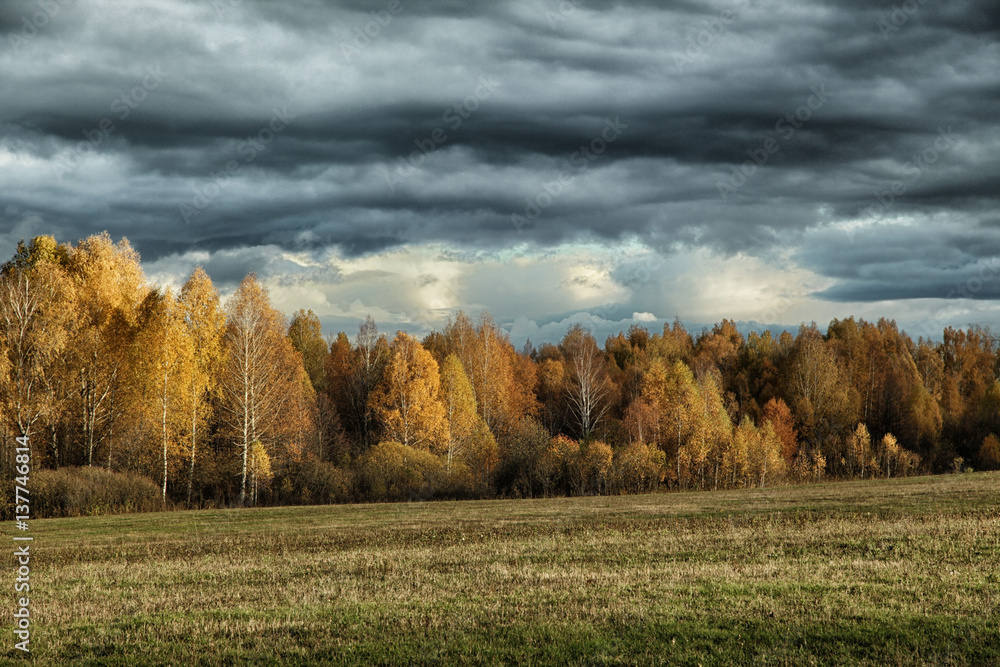 Fototapeta premium Storm clouds over a birch grove and field in autumn