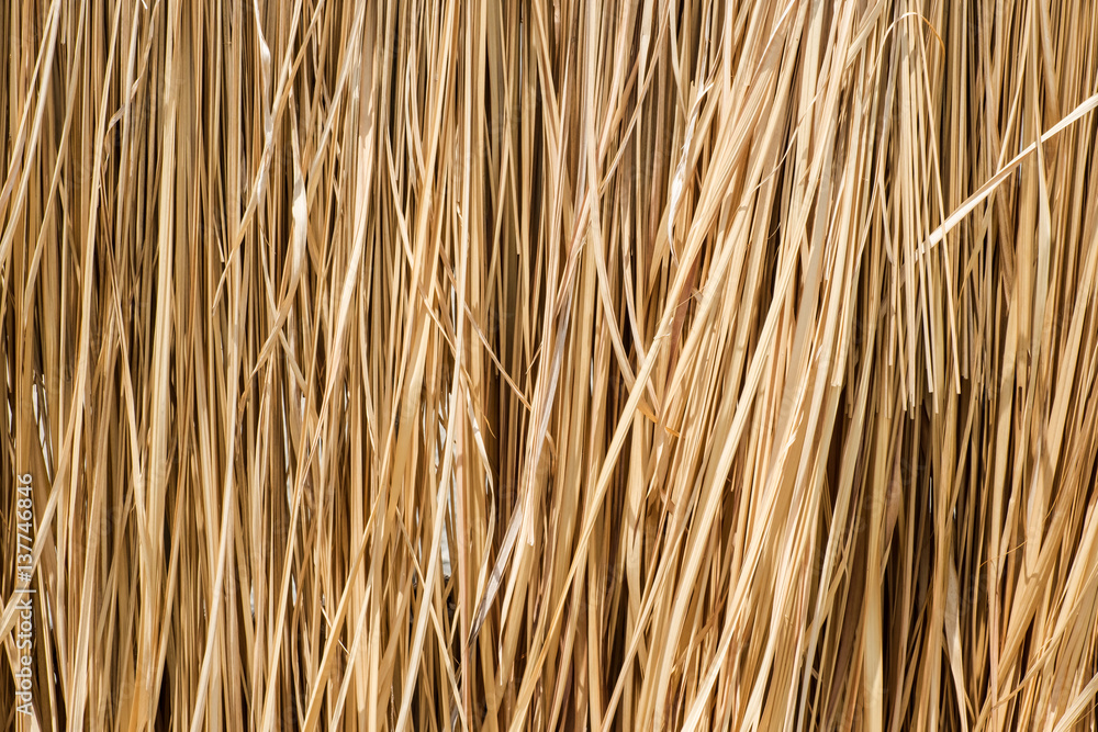 Close up yellow straw wall texture background Close up yellow straw wall texture background