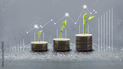 Tree growing on coins, Business save and growing finance