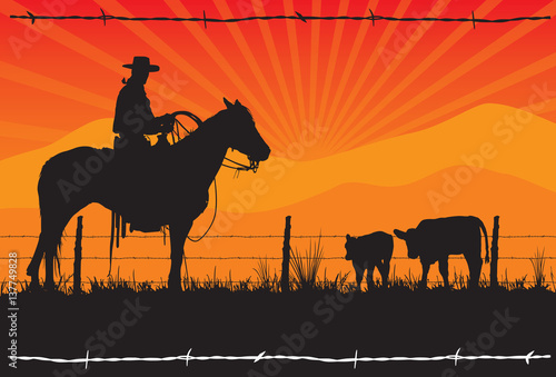 American Cowboy