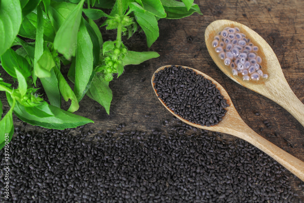 raw basil seed, herb in Thai, aids digestion as a laxative Stock Photo