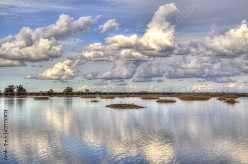 Tableau sur toile Yolo bypass wildlife area bird islands sunset