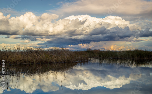 Yolo bypass wildlife area beautiful sunset