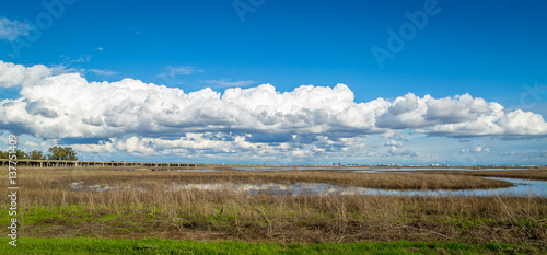 Yolo bypass wildlife area marshland pano