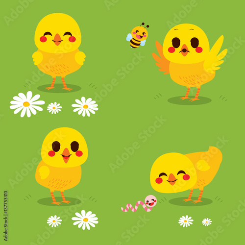 Cute little chick on spring grass with bee and worm on Easter holiday celebration
