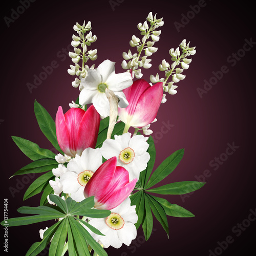 Beautiful floral background with narcissus  tulips and lupine  