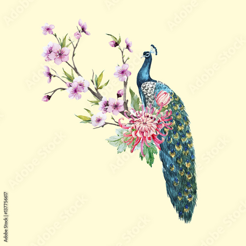 Watercolor vector peacock with flowers