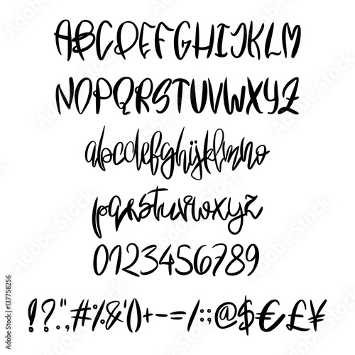 Vector hand painted latin alphabet