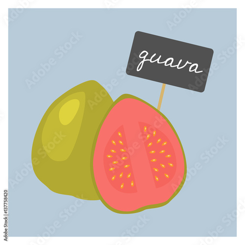 Vector Fruit - Guava