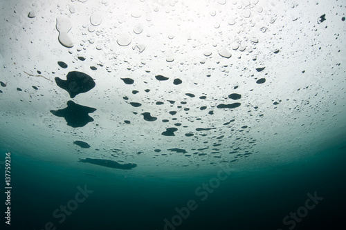 Air trapped under ice
