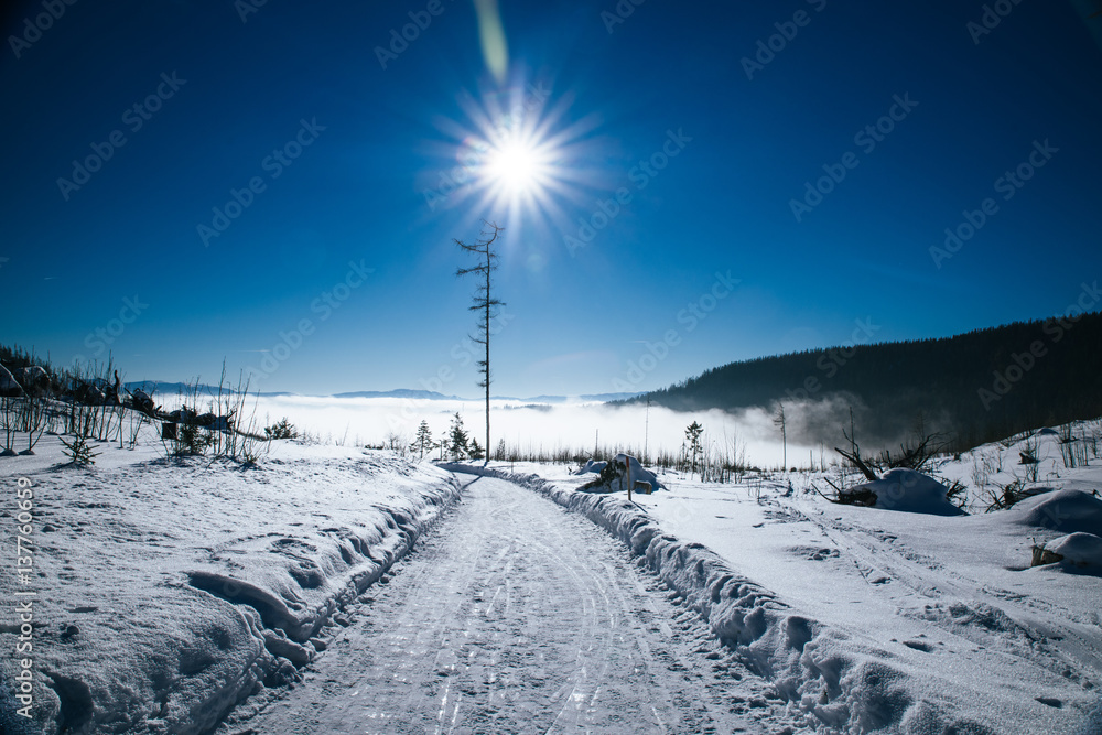 Empty snowy road and shining sun