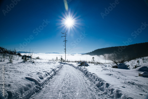 Obraz na płótnie Empty snowy road and shining sun w salonie