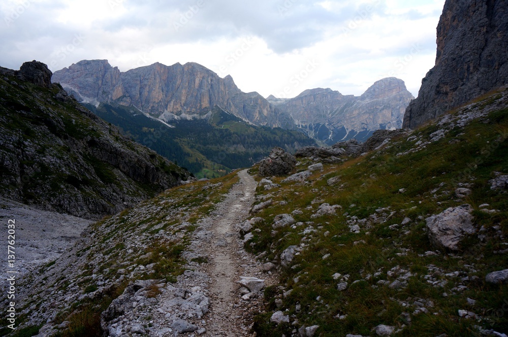 Fototapeta premium Wanderweg zwischen Felsen auf Wiese in den Dolomiten
