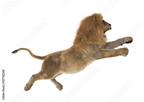 Fototapeta Naklejka Na Ścianę i Meble -  3D Rendering Male Lion on White