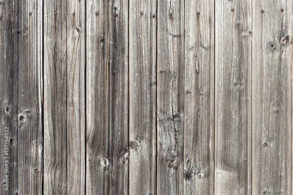 Fototapeta premium The old wood texture with natural patterns