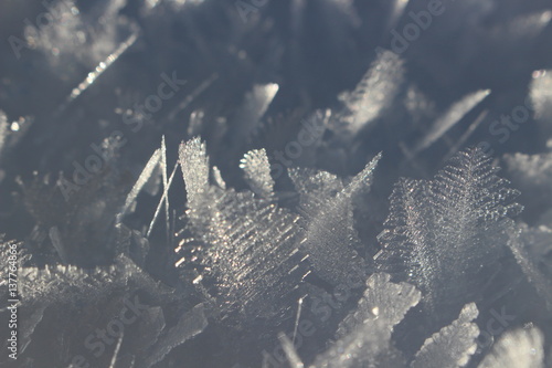 snowflakes