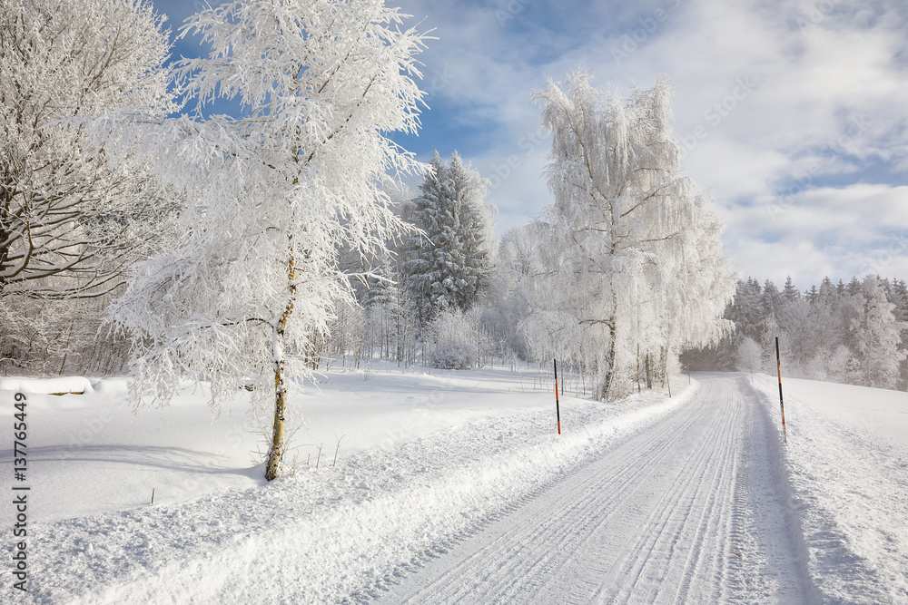 Obraz premium Winter Landschaft