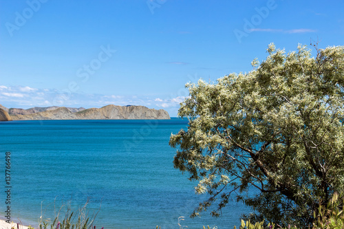 Landscape of Southern coast of Crimea. Chameleon cape photo