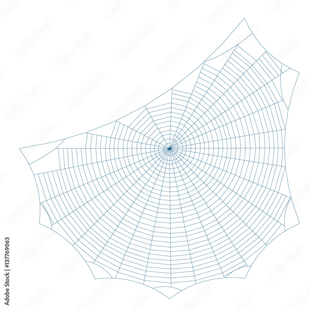 Obraz premium Spiderweb. Isolated on white background. Vector outline illustration.