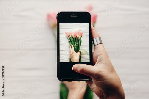 instagram photographer, blogging workshop concept. hand holding phone and taking photo of stylish flower flat lay. pink tulips on white wooden rustic background.space for text