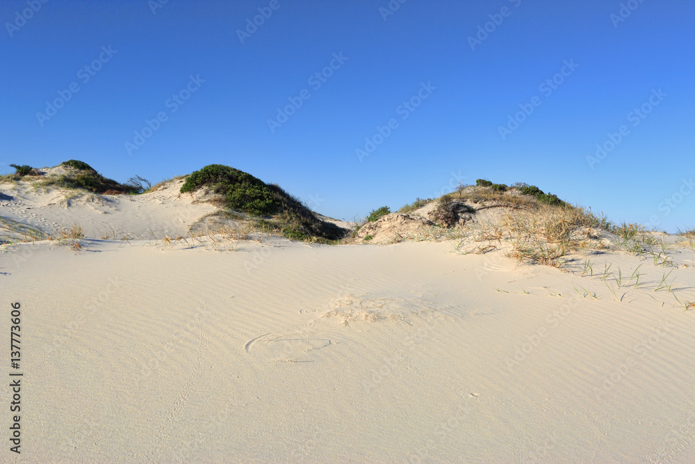 Sand dunes Sand dunes