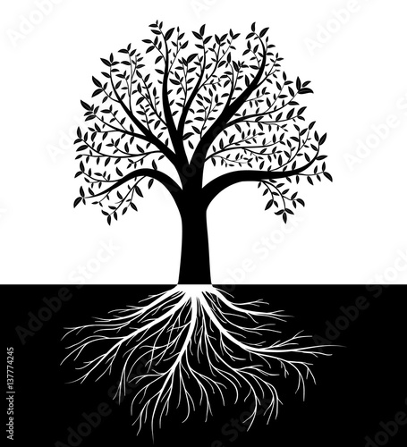 Tree silhouette with leaves and roots vector background