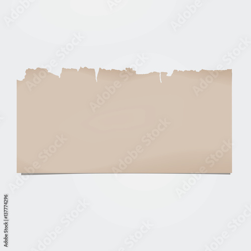 Vector blank sheet of old torn paper.