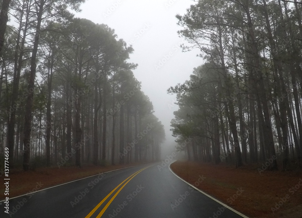 Fototapeta premium Winding Road In Fog