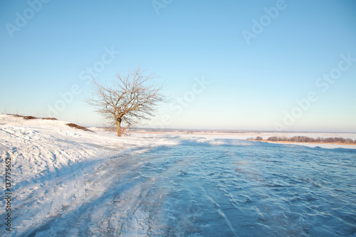 Зимний пейзаж. Одинокое дерево