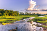 September 04, 2014 - Landscape of Chitwan National Park, Nepal