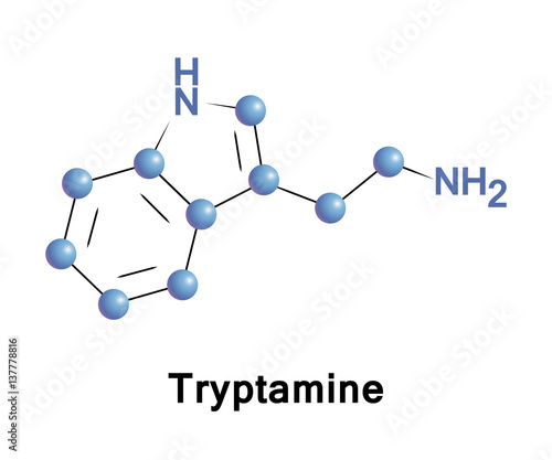 Tryptamine is a monoamine alkaloid. It contains an indole ring structure, and is structurally similar to the amino acid tryptophan. It is found in trace amounts in the brains of mammals 
