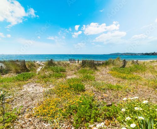 green field by the sea in Alghero