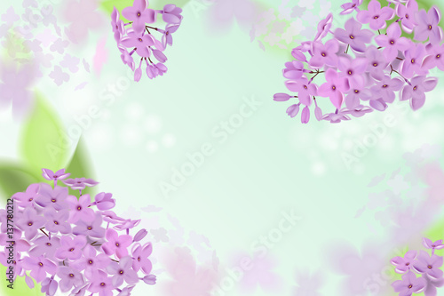 Vector web banners with purple, pink, blue and white lilac flowers.