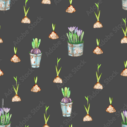 Fototapeta Naklejka Na Ścianę i Meble -  Seamless pattern with watercolor spring green plant sprouts from the soil and crocus flowers in the buckets, hand drawn isolated on a dark background
