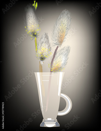 pussy willow in glass on grey background