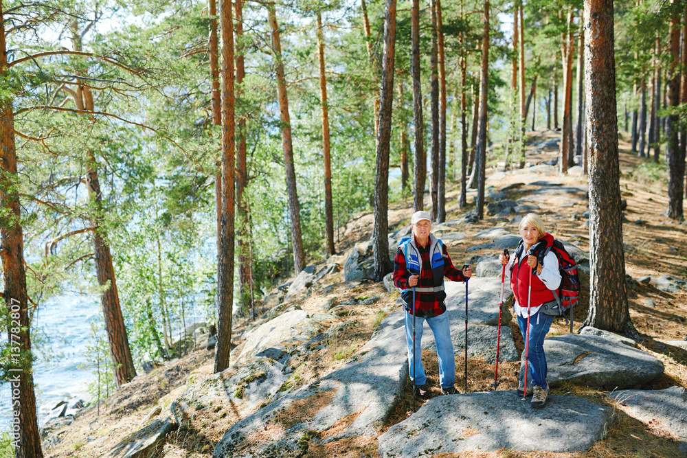 Active travelers with trekking sticks hiking in the forest Active travelers with trekking sticks hiking in the forest