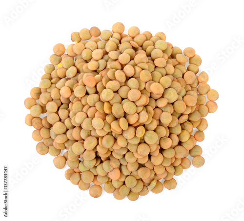 lentils isolated on white background