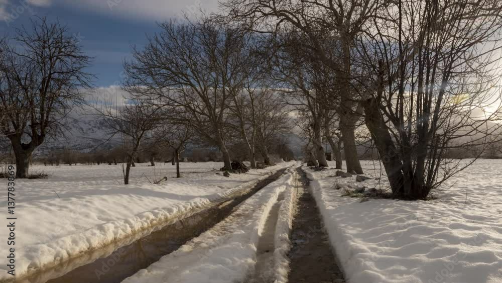Snow covered landscape Snow covered landscape