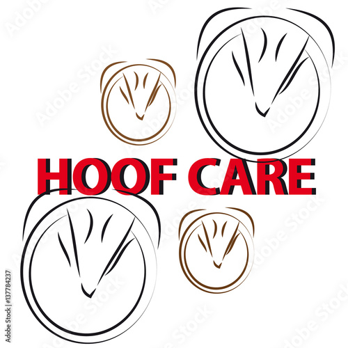Horse hoof on white background