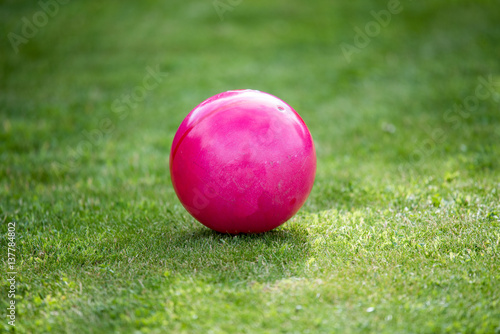 Pink ball on a grass