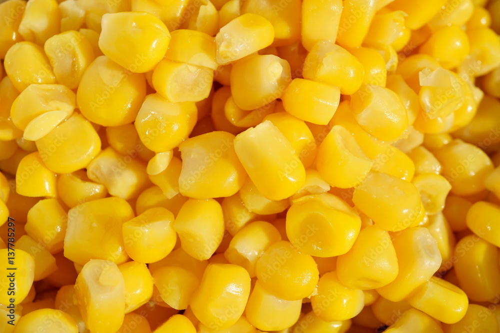 Macro detail of a heap of yellow corn (maize) as a symbol of sweet healthy organic vegetable Macro detail of a heap of yellow corn (maize) as a symbol of sweet healthy organic vegetable