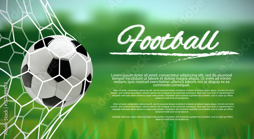 Soccer or Football Ball on green background.