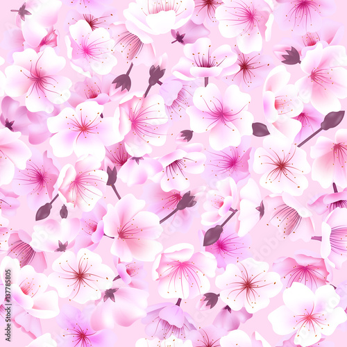 Fototapeta Naklejka Na Ścianę i Meble -  Seamless pattern with cherry blossom, Blossoming Oriental , Sakura Flowering Spring Festival Hanami
