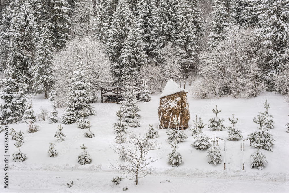 Haystack under snow in the Carpathian Mountains, Ukraine