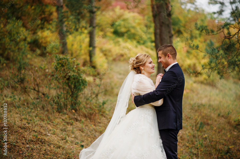 Wedding couple in love at autumn pine wood.