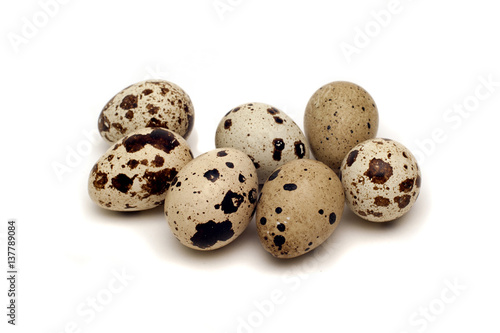 quail eggs isolated on white background